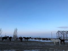 -丝绸之路山地度假区滑雪场