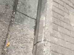 -红顶老汉烧鸡公羊蝎子火锅(学士街店)