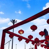 最近中午可以出门了，感觉得到了一种释放！整个人都爽了