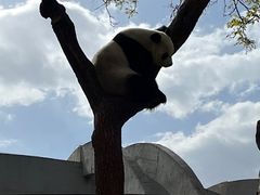 -北京海洋馆