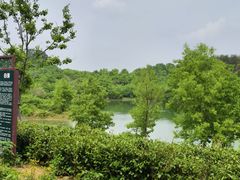 -南湾湖