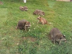-秦皇岛野生动物园