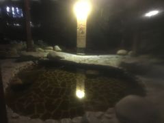 -佛山市三水温泉度假村