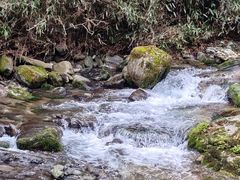 -光雾山旅游景区