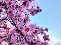 -白塘生态植物园