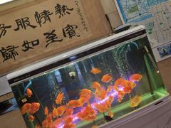 -天津大学·四十二斋餐厅