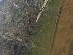 -火炉山森林公园