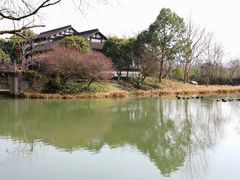 -西溪国家湿地公园