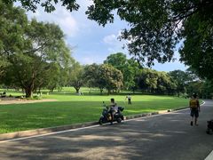 -东莞植物园