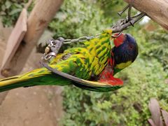 -南宫五洲植物乐园