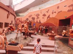 -陕西自然博物馆