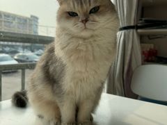 -乖乖乐动物医院(小汤山分院)