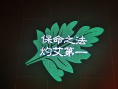 -端艾堂·SPA·艾灸(棕榈泉013店)