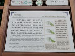 -矮寨·十八洞·德夯大峡谷景区