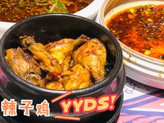 -铁公鸡·四川料理(天环广场店)