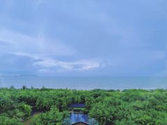 -三亚湾海居铂尔曼度假酒店