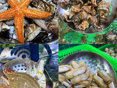 -富临港·蒸汽海鲜·手抓海鲜·炒菜(栈桥店)