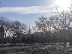 -玲珑塔公园