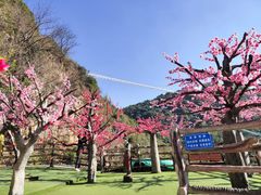 -西游洞风景区