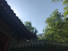 -《12·12》西安事变大型实景演出