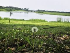 -阳澄湖半岛旅游度假区