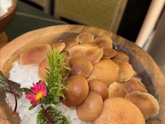 -季季山·云南野生菌火锅(上海首店)