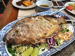 -卷心菜和避孕套餐厅(Pattaya)