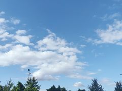 -金渝海鲜烧烤万州烤鱼店