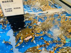 -盒马X会员店(王府井奥莱UP TOWN店)