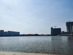 -映月湖中央公园