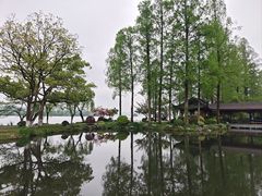 -浙江西子宾馆·牡丹厅
