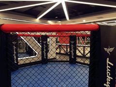 -金吉鸟健身游泳