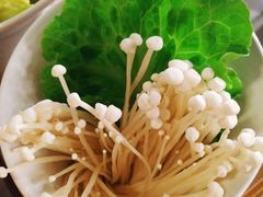 -傣妹火锅(四川北路店)