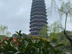 -红梅公园