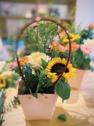 -贝瑞佳月子会所(杭州旗舰店)