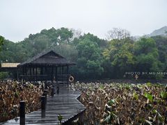 -兰亭风景区