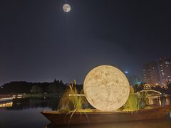 -洋湖国家湿地公园