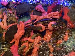 -阿伟海鲜楼·福建菜(延寿店)