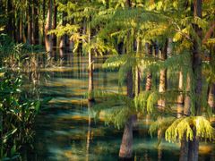 -麓湖高尔夫球俱乐部