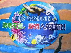 -广东惠东海龟国家级自然保护区