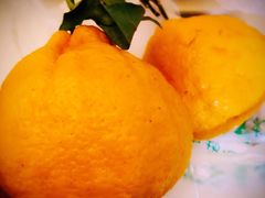 -乐乐鲜果水果超市(河北店)