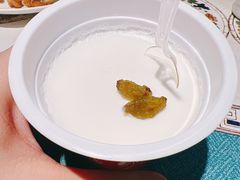 自制老酸奶-贯贯吉·清真餐厅(浙江中路店)