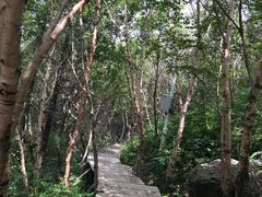 -白草畔自然风景区