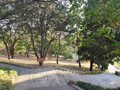 -青岛德国总督楼旧址博物馆