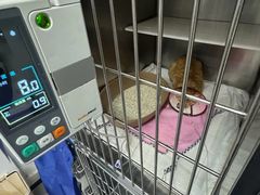 -御宝贝·A梦猫科宠物医院(国际猫友好医院)