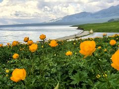 -赛里木湖风景名胜区