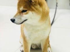 -乐宠宠物店(世纪金源店)