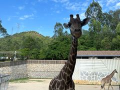 -泉州海丝野生动物世界