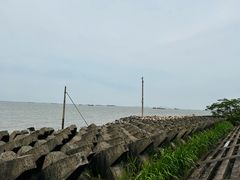 -上海滨江森林公园