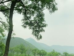 -百里山水画廊